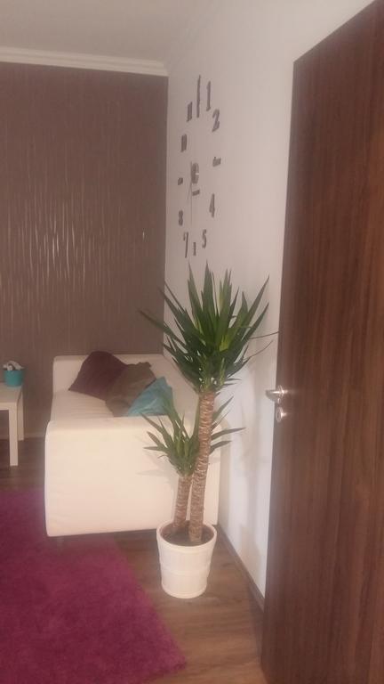 Appartamento Rona Apartman *